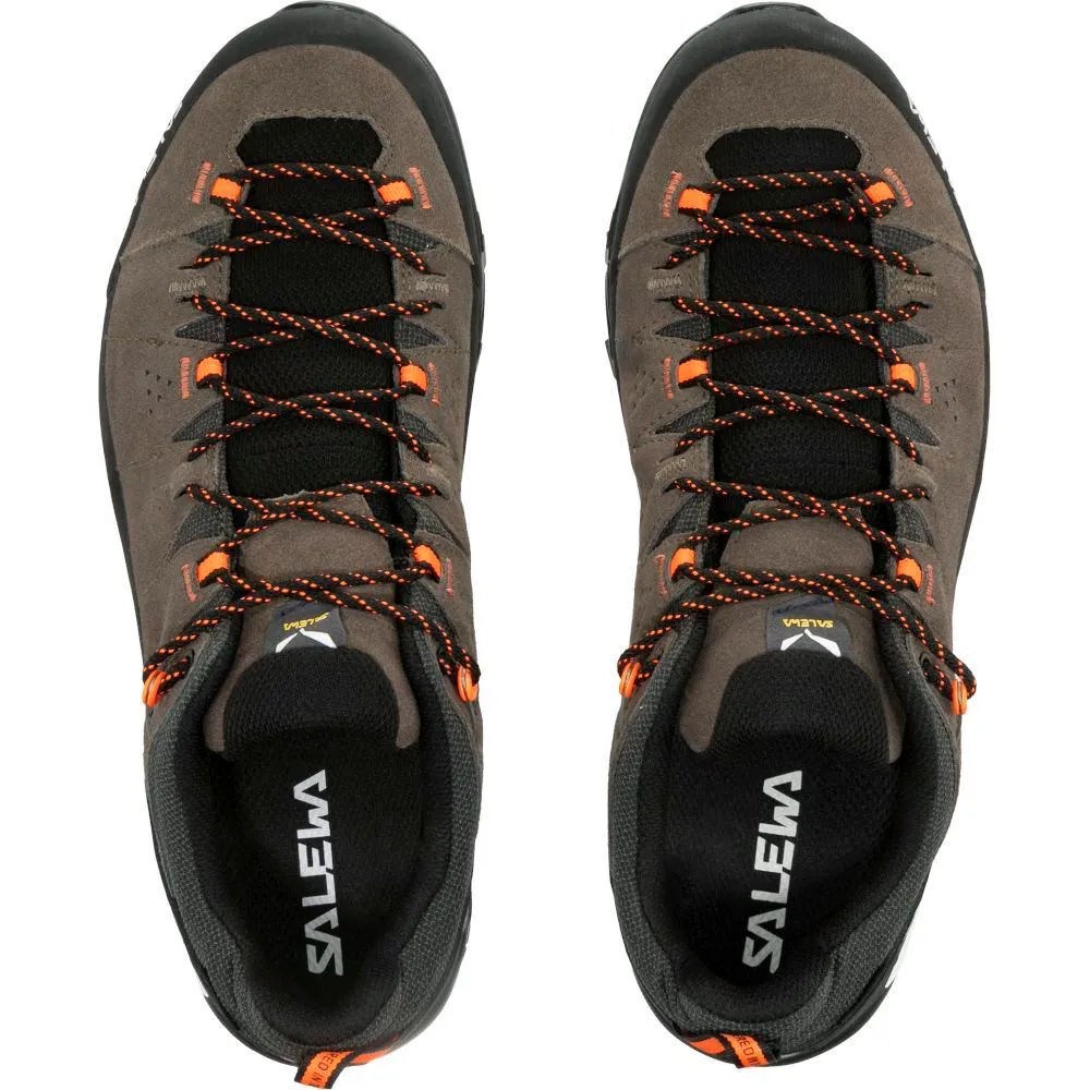Кросівки Salewa Alp Trainer 2 GTX Mns - купити в Gorgany