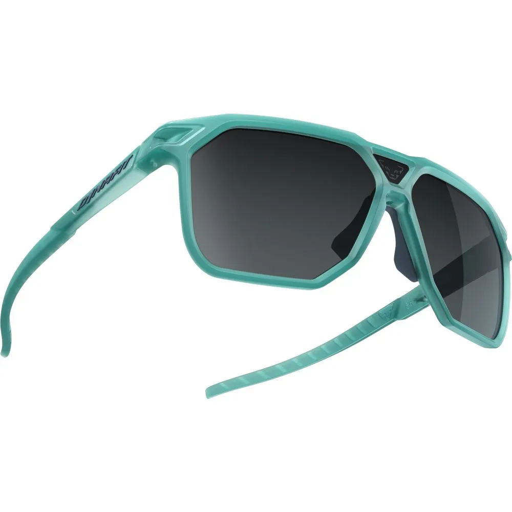 Окуляри Dynafit Traverse Sunglasses - купити в Gorgany