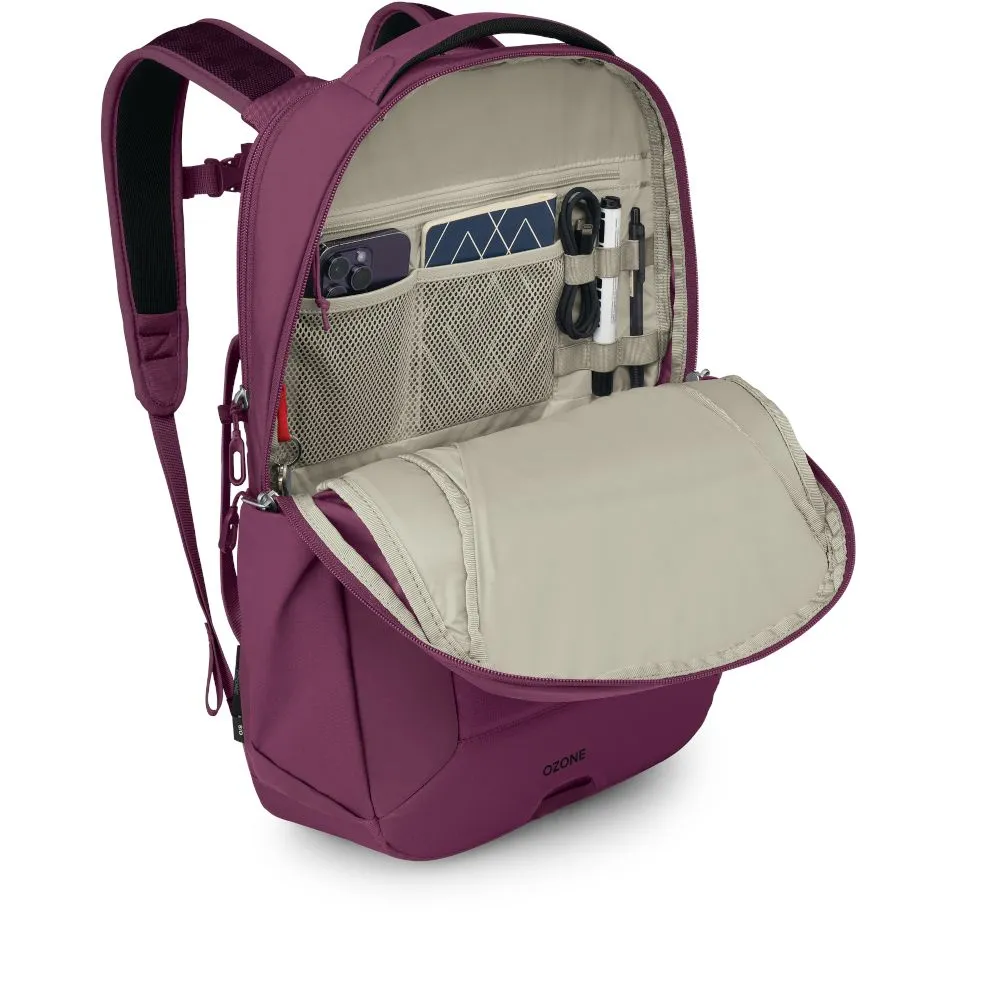 Рюкзак Osprey Ozone Laptop Backpack - купить в Gorgany