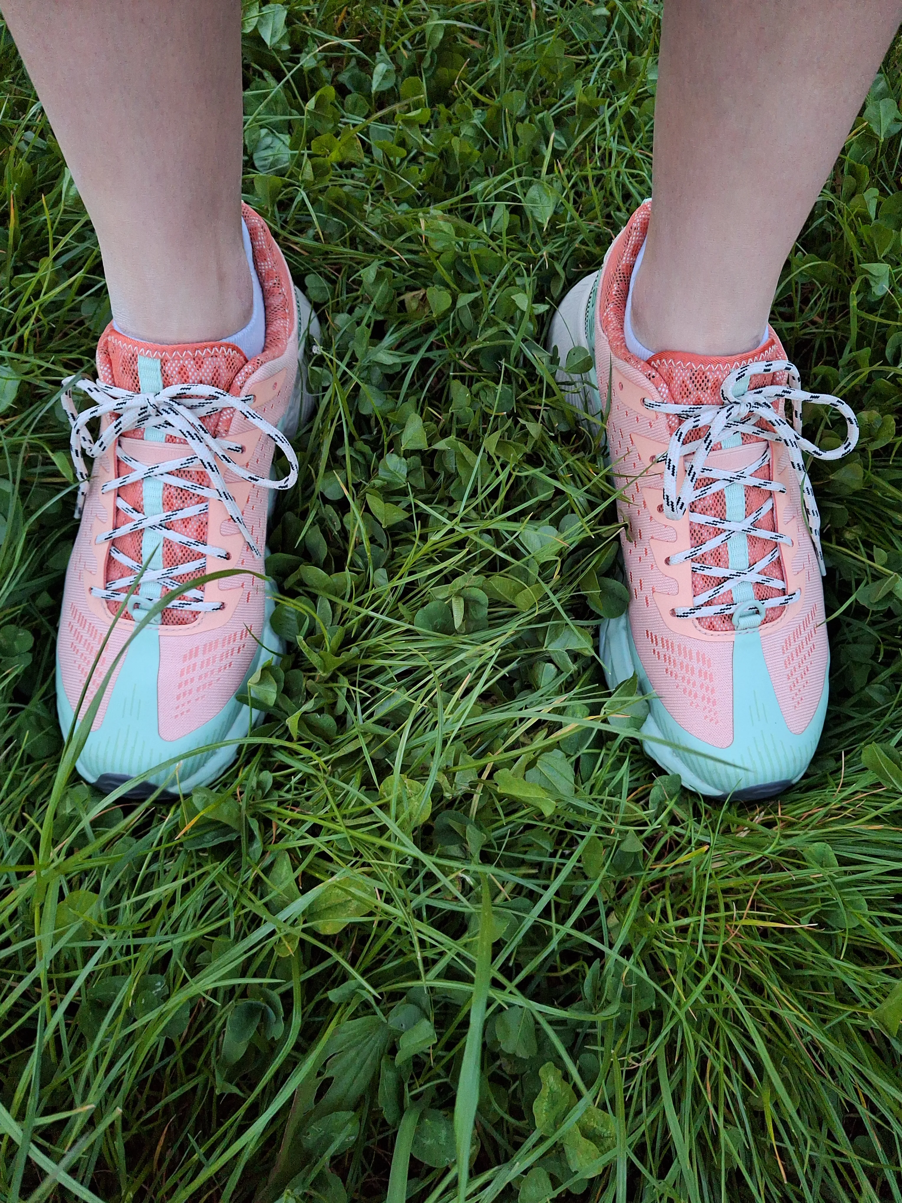 Кросівки Merrell Agility Peak 5 Wmn - купити в Gorgany