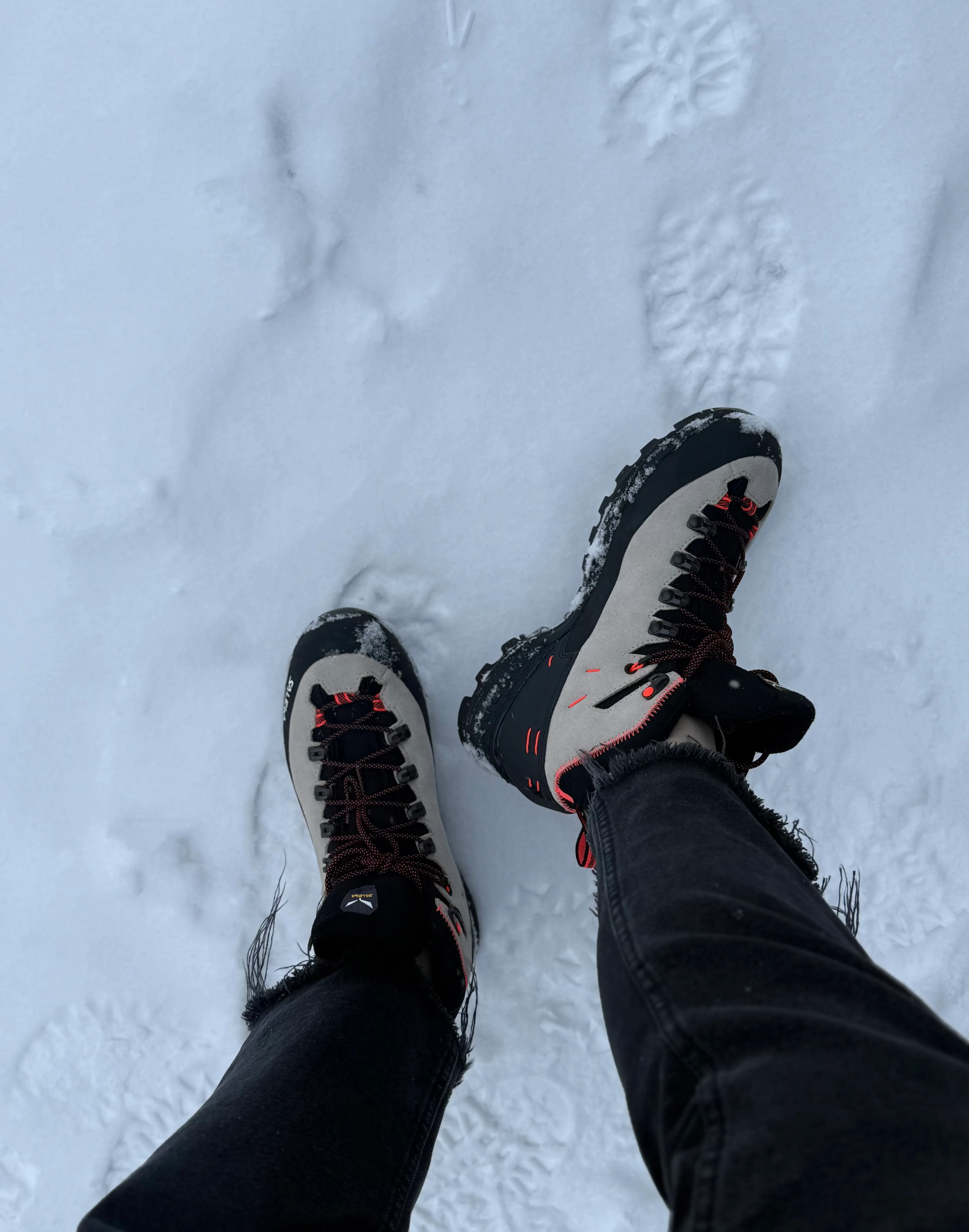 冬峰ページ Черевики Salewa WS ALP Mate Winter MID WP - купити в Gorgany